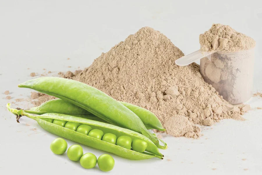 Plant-Based Protein Powders You Must NEVER Buy